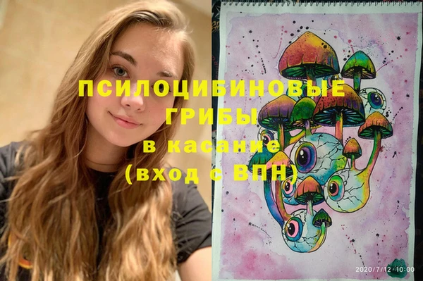 сатива Володарск