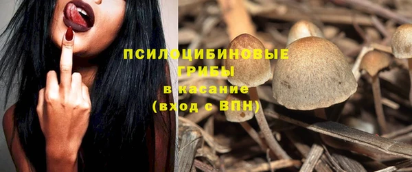 сатива Володарск