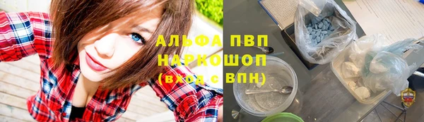 сатива Володарск