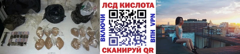 Купить где  Сосновый Бор  LSD-25 экстази ecstasy 
