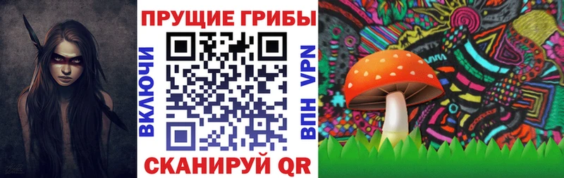 Купить где  Сосновый Бор  Псилоцибиновые грибы MAGIC MUSHROOMS 